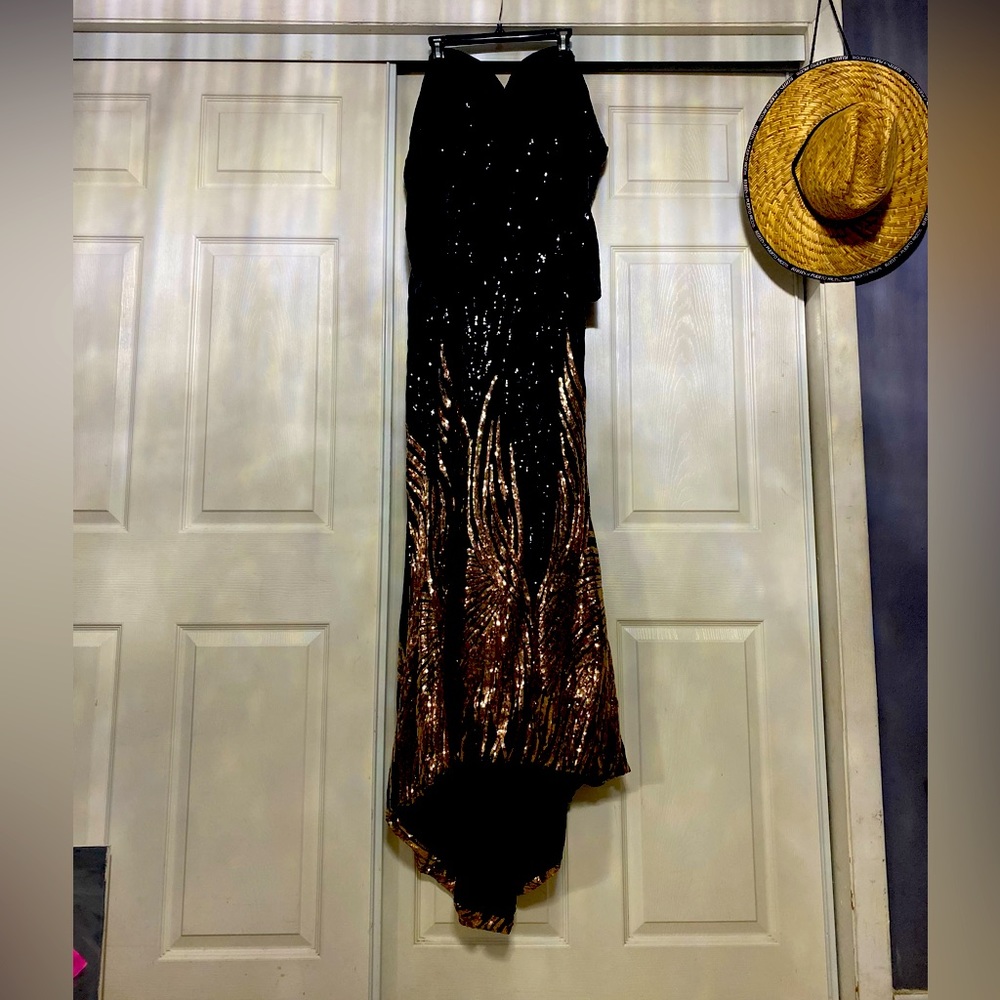 Prom dress or Gala, Formal